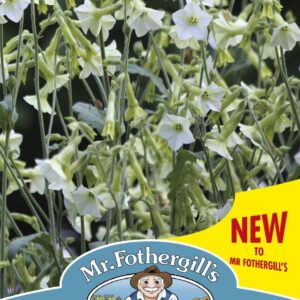 Mr Fothergills Nicotiana Starlight Dancer 100 Seeds