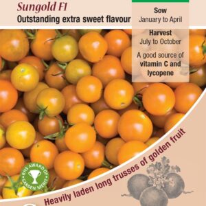Kings Seeds Tomato Sungold F1 Hybrids 10 Seeds