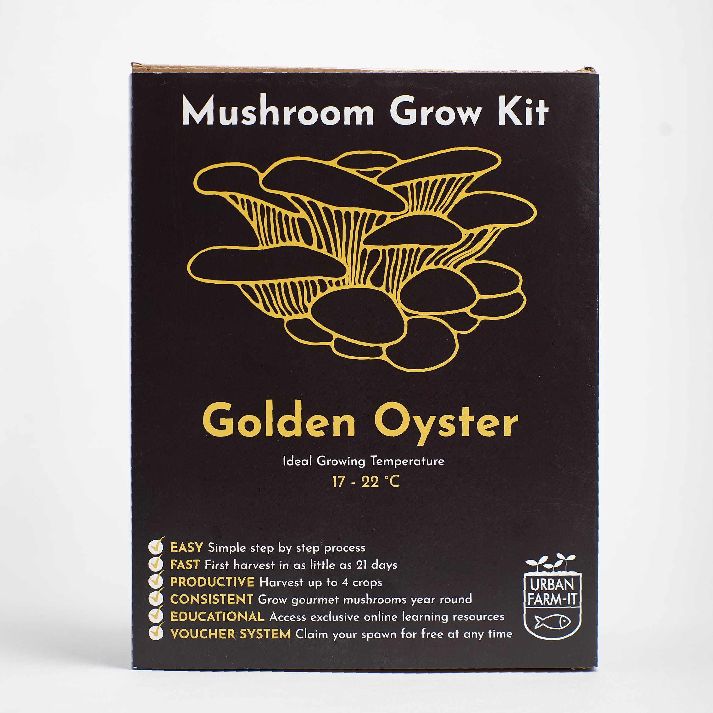 1UrbanFarm-It_MushroomGrowKit_GoldenOyster_5.jpg