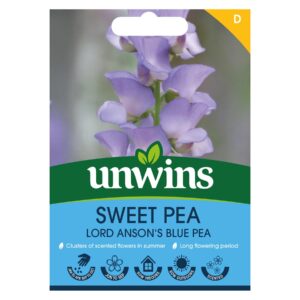 Unwins Flower Sweet Pea Lord Anson's blue pea - 4 Seeds