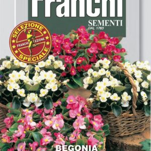 Franchi Seeds of Italy - Flower - FDBF_S 305-55 - Begonia semperflorens Mix - Seeds