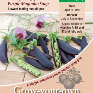 Kings Seeds Pea (Snap) Purple Magnolia Seeds