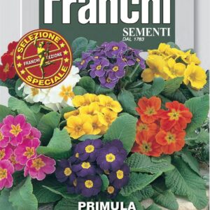 Franchi Seeds of Italy - Flower - FDBF_S 347-1 - Primula - Garden Mix - Seeds