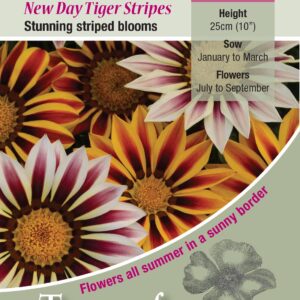 Kings Seeds Gazania New Day Tigers Stripes 25 Seed