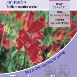Kings Seeds Sweet Pea Air Warden 20 Seeds