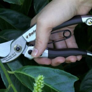 Darlac DP40 Compact Lightweight Pruner Garden Secateurs Max Cut 16mm UK SHIPPING ONLY