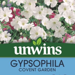 Unwins Gypsophila Covent Garden 1000 Seeds