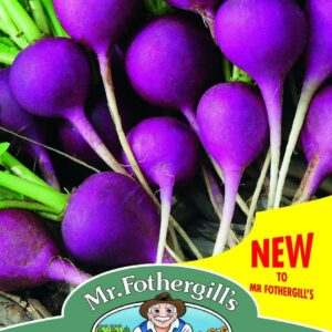 Mr Fothergills Radish Viola 250 Seeds