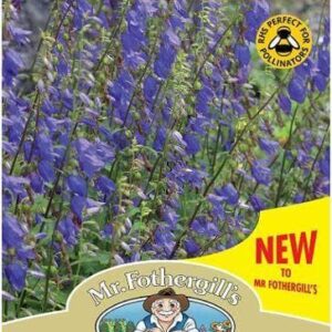 Mr Fothergills - Wild Flower - Bellflower  - 250 Seeds