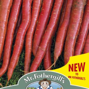 Mr Fothergills Carrot Malbec F1 - 350 Seeds