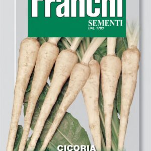 Franchi Seeds of Italy Root Chicory Di Chiavari Seeds
