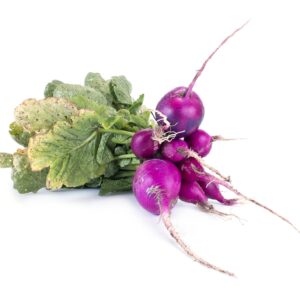 Radish Malaga Violet Seeds