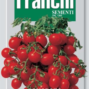 Franchi Seeds of Italy Tomato Red Cherry Seeds