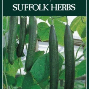 Suffolk Herbs Organic Cucumber Flamingo F1 Seeds